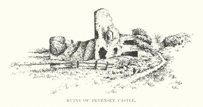 Ruinen von Pevensey Castle von Duncan Moul