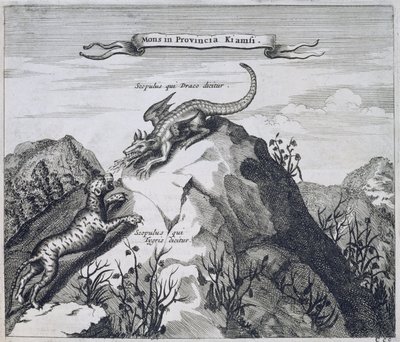 Ein Berg in der Provinz Jiangxi mit Felsen, bekannt als der Drache und der Tiger, aus China illustriert von Athanasius Kircher (1601-80) 1667 von Dutch School