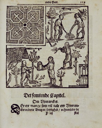 Bäume pflanzen, aus Der niederländische Gärtner von Johann van der Groen, veröffentlicht 1699 von Dutch School