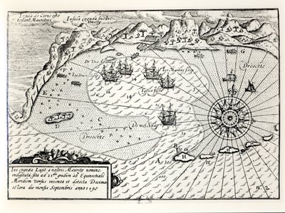 Die Ankunft der Flottille von Vizeadmiral Wybrandt Van Warwijck im Südosthafen von Mauritius im September 1598 von Dutch School