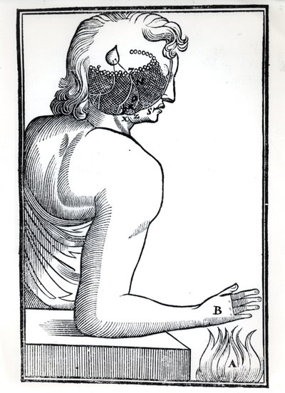 Die Wahrnehmung der Sinne, aus De Homine Figuris von René Descartes (1596-1650) veröffentlicht in Amsterdam, 1677 von Dutch School