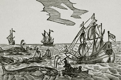 Walfangschiffe aus Jacob Segersz van der Brugges 
