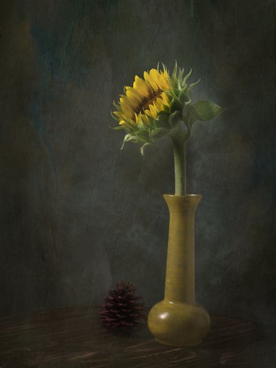 Rustikales Sonnenblumen Stillleben von EDUARDO LLERANDI