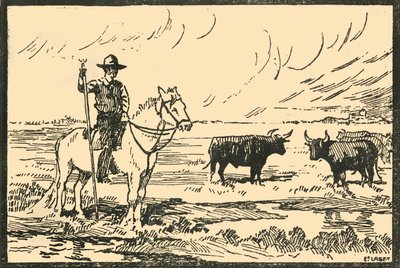 Landschaft von Camargue von E Laget