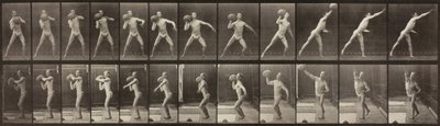 Tierbewegung, Tafel 319, 1887 von Eadweard Muybridge