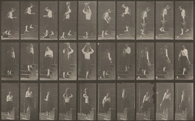 Teller Nummer 504. Auf- und absteigende Treppen von Eadweard Muybridge
