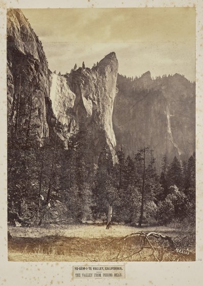 Yo-Sem-i-te Tal, Kalifornien. Das Tal von Pohono Meadows von Eadweard J. Muybridge