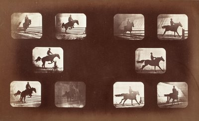 Tierbewegung (Mann auf Pferd über Hürden) von Eadweard Muybridge