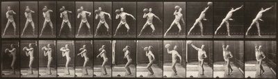 Tierlokomotion (Tafel 319) (Mann wirft einen Ball) von Eadweard Muybridge