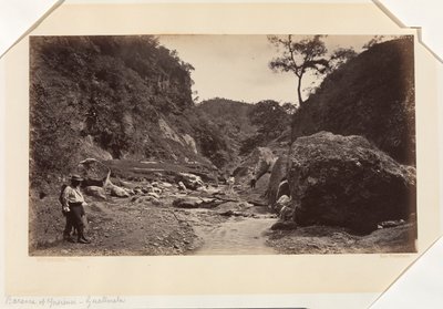 Barranca von Ynsiensi, Guatemala von Eadweard Muybridge