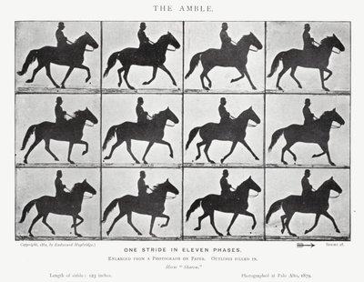 Eadweard Muybridge: Der Passgang von Eadweard Muybridge
