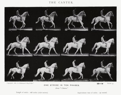 Eadweard Muybridge: Der Kanter (s/w Foto) von Eadweard Muybridge