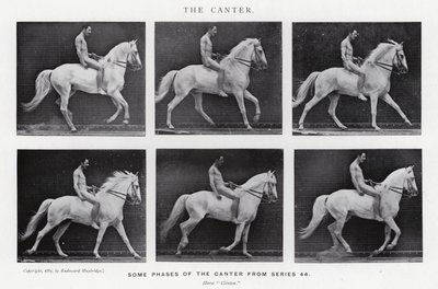Eadweard Muybridge: Der Kanter (s/w Foto) von Eadweard Muybridge