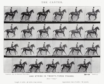 Eadweard Muybridge: Der Kanter von Eadweard Muybridge