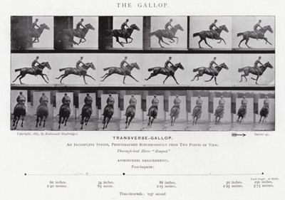 Eadweard Muybridge: Der Galopp von Eadweard Muybridge
