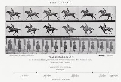 Eadweard Muybridge: Der Galopp (s/w Foto) von Eadweard Muybridge