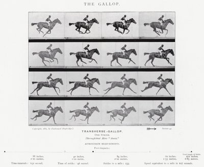 Eadweard Muybridge: Der Galopp (s/w Foto) von Eadweard Muybridge