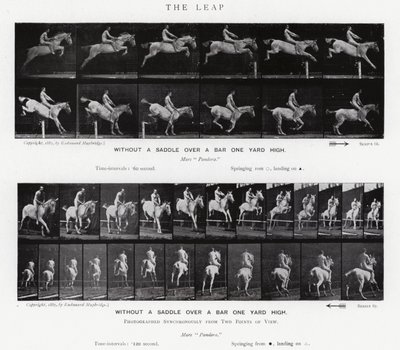 Eadweard Muybridge: Der Sprung von Eadweard Muybridge