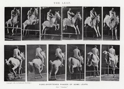 Eadweard Muybridge: Der Sprung (s/w Foto) von Eadweard Muybridge