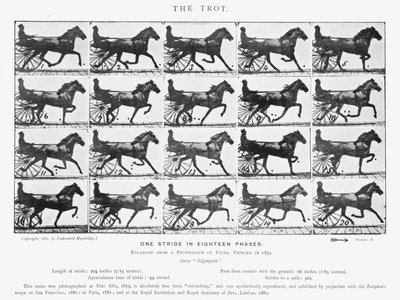 Der Trab von Eadweard Muybridge
