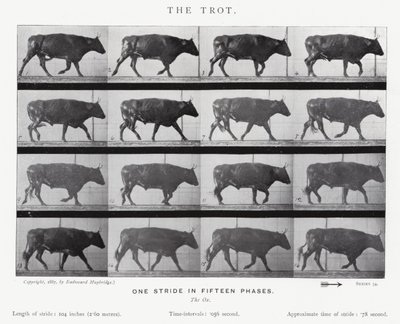 Eadweard Muybridge: Der Trab (s/w Foto) von Eadweard Muybridge