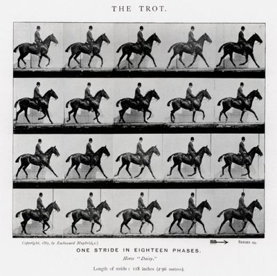 Eadweard Muybridge: Der Trab von Eadweard Muybridge