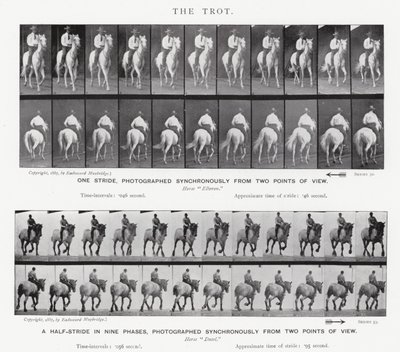 Eadweard Muybridge: Der Trab von Eadweard Muybridge