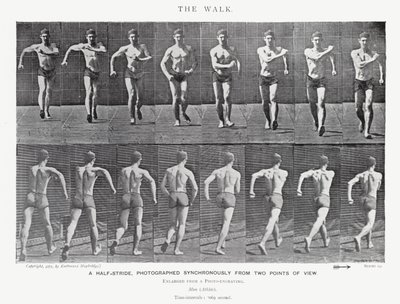 Der Spaziergang von Eadweard Muybridge