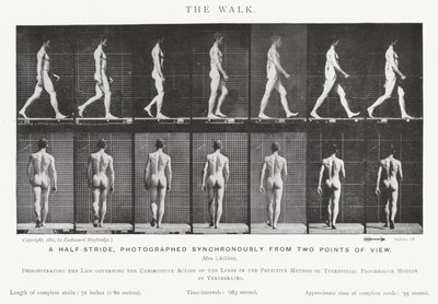 Eadweard Muybridge: Der Gang (s/w Foto) von Eadweard Muybridge