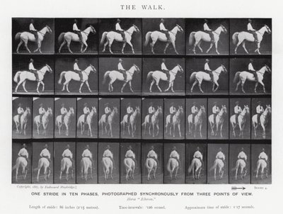 Eadweard Muybridge: Der Gang von Eadweard Muybridge
