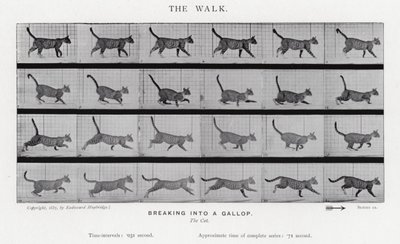 Eadweard Muybridge: Der Gang von Eadweard Muybridge