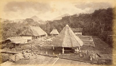 Hacienda William Nelson, San Isidro, Guatemala von Eadweard Muybridge