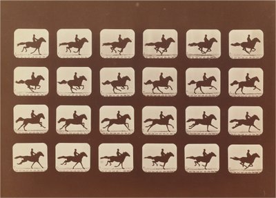 Pferde. Rennen. Phyrne L. Nr. 40 von Eadweard Muybridge