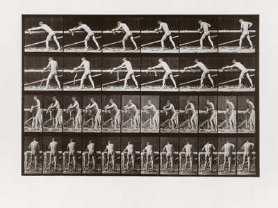 Mann hobelt Holz, Platte 379 aus Animal Locomotion von Eadweard Muybridge