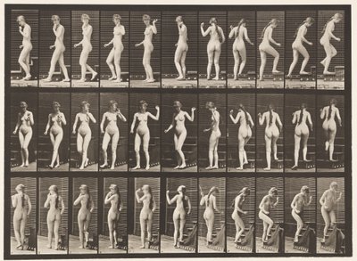Tafel 101. Treppensteigen, winkende Hand von Eadweard Muybridge