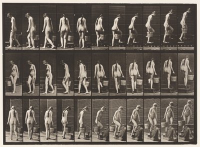 Tafel 102. Treppensteigen, Eimer Wasser in der rechten Hand von Eadweard Muybridge