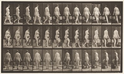 Tafel 106. Treppensteigen, Eimer Wasser in jeder Hand von Eadweard Muybridge