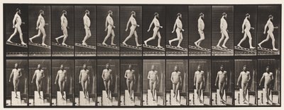 Tafel 113. Abstieg, 1 zu 4 von Eadweard Muybridge