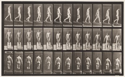 Tafel 114. Abwärts geneigt, Winkel 1 zu 4 von Eadweard Muybridge
