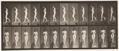 Tafel 115. Abwärtsneigung mit vor der Brust verschränkten Händen von Eadweard Muybridge