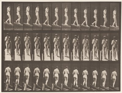 Tafel 116. Steigung hinabsteigen, eine Hand am Kinn von Eadweard Muybridge