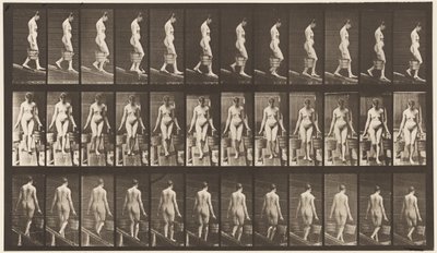 Tafel 121. Steigung hinabsteigen, Eimer Wasser in jeder Hand von Eadweard Muybridge