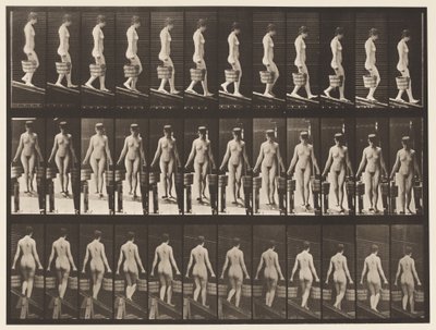 Absteigende Neigung, Eimer Wasser in jeder Hand von Eadweard Muybridge