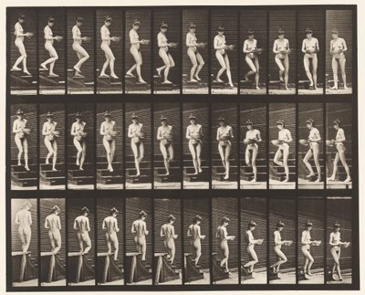 Tafel 144. Treppen hinabsteigen; Becken in den Händen drehend von Eadweard Muybridge