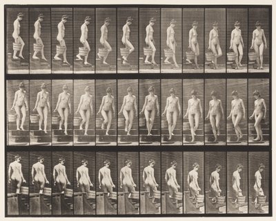 Treppen hinuntergehen; Eimer Wasser in der rechten Hand drehen von Eadweard Muybridge