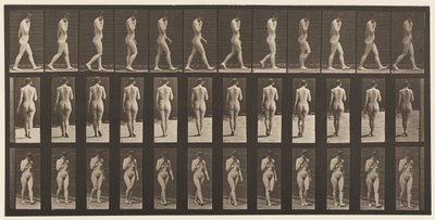 Tafel 14. Gehen, rechte Hand am Kinn, 1872-1885 von Eadweard Muybridge