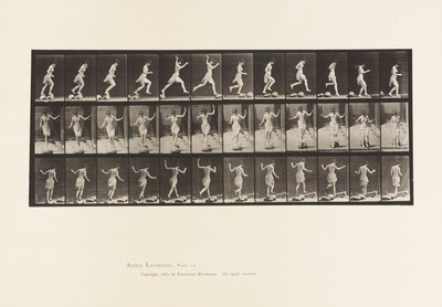 Von Stein zu Stein über einen Bach von Eadweard Muybridge