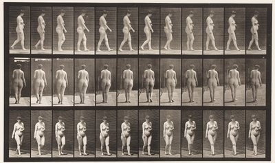 Gehen, linke Hand über dem Bauch von Eadweard Muybridge