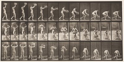 Tafel 201. 12-Pfund-Korb vom Kopf nehmen, auf den Boden stellen, 1872-1885 von Eadweard Muybridge