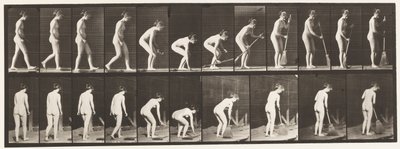 Tafel 219. Bücken und Besen heben und kehren von Eadweard Muybridge